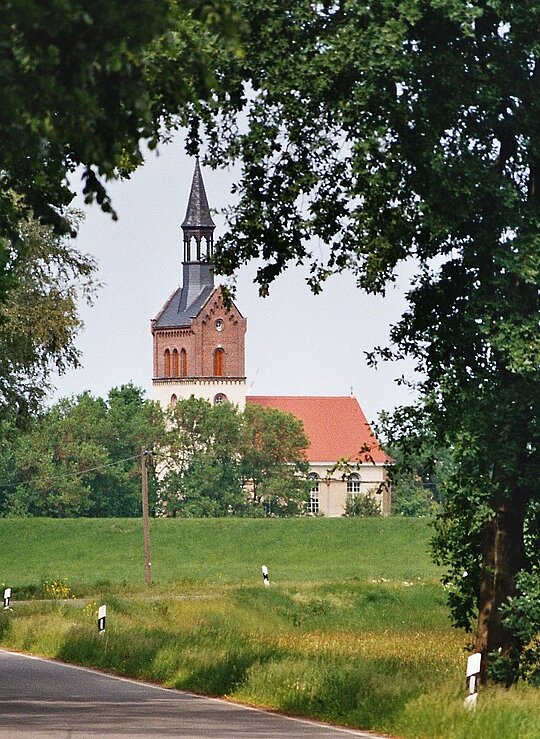 Blick durch eine Baumallee auf den Kirchturm in Polbitz